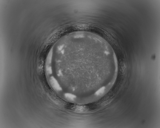 X0000115580507200912081029