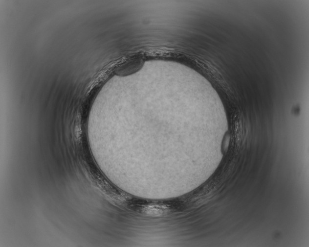 X0000115580508200912081029