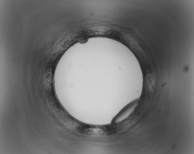 X0000115580509200912081029