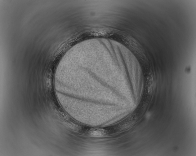 X0000115580510200912081029