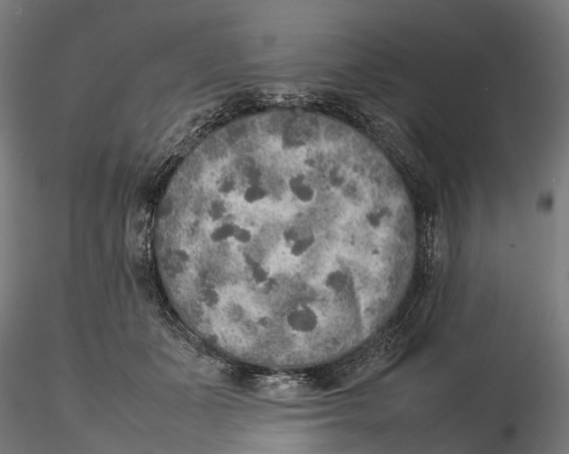 X0000115580511200912081029