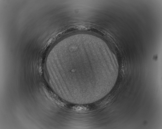 X0000115580512200912081029