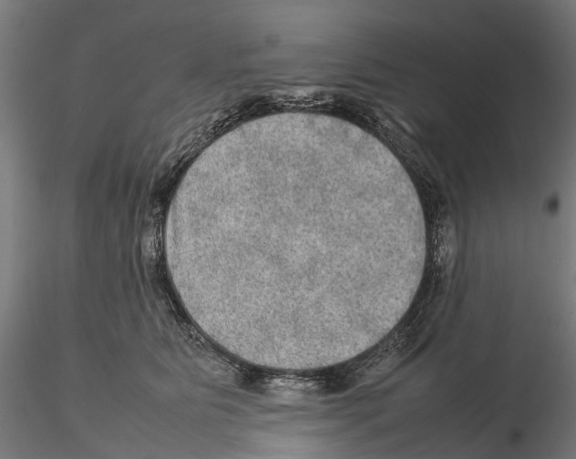 X0000115580515200912081029