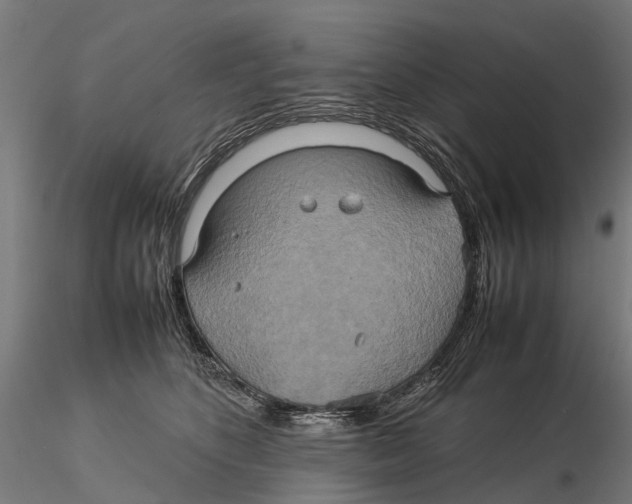 X0000115580516200912081029