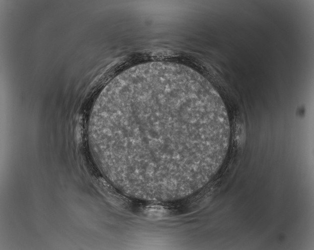 X0000115580519200912081029