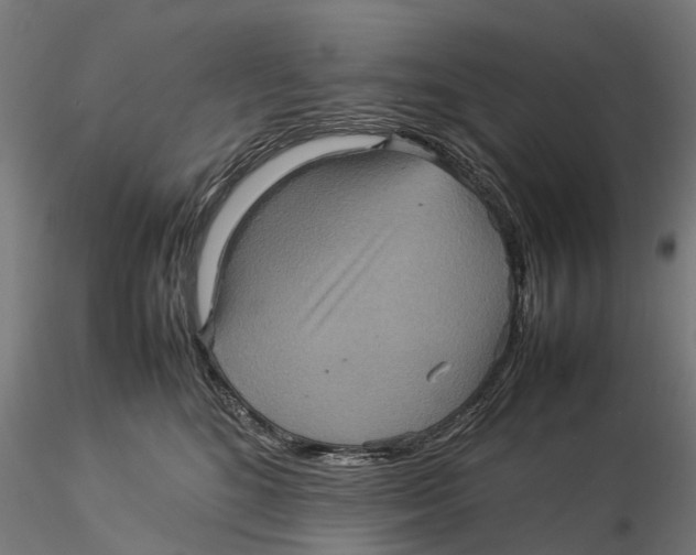 X0000115580520200912081029