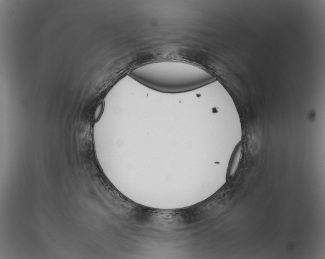 X0000115580521200912081029