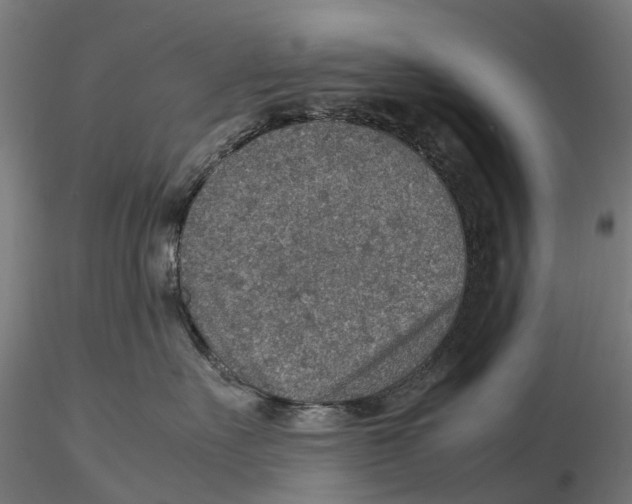 X0000115580527200912081029