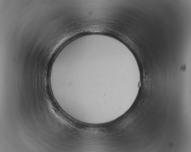 X0000115580530200912081028