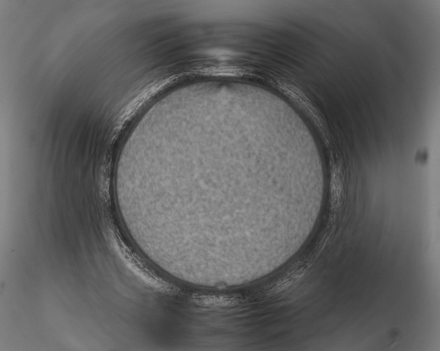 X0000115580533200912081028