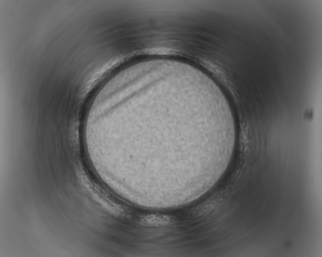 X0000115580535200912081028