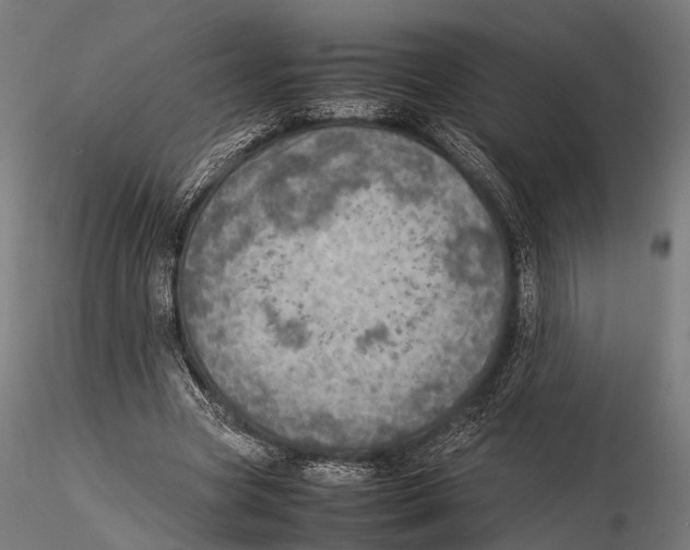 X0000115580537200912081028