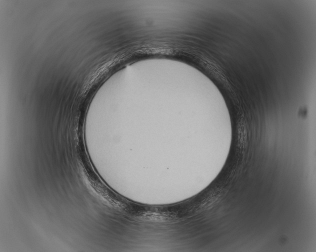 X0000115580538200912081028