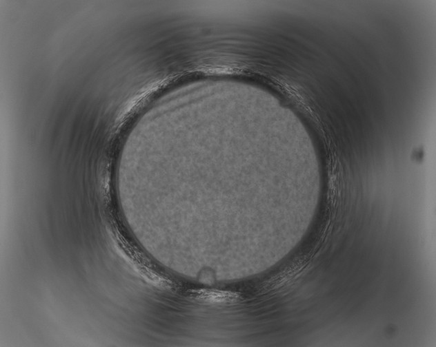 X0000115580539200912081028