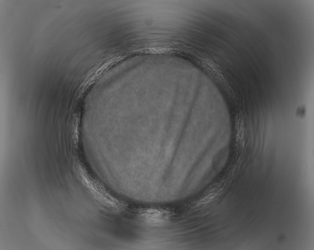 X0000115580542200912081028