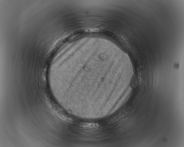 X0000115580543200912081028