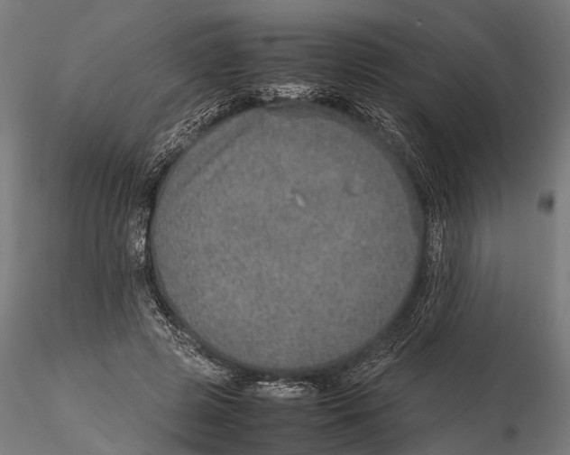 X0000115580545200912081028