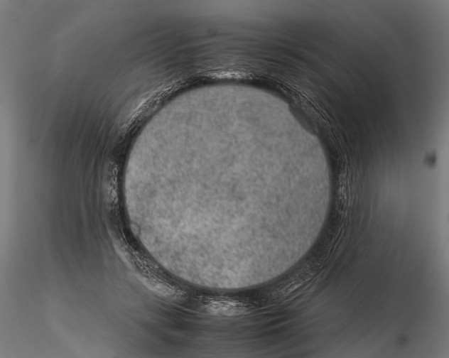 X0000115580547200912081028