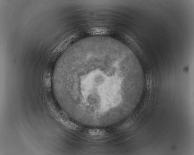 X0000115580549200912081028