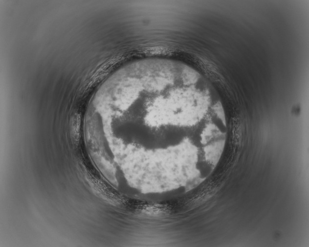 X0000115580550200912081028