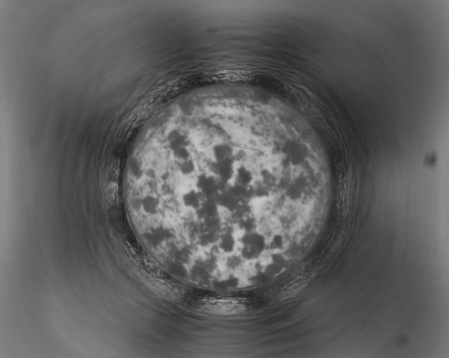 X0000115580553200912081028