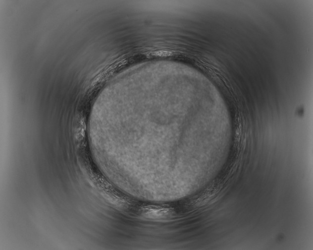 X0000115580555200912081028