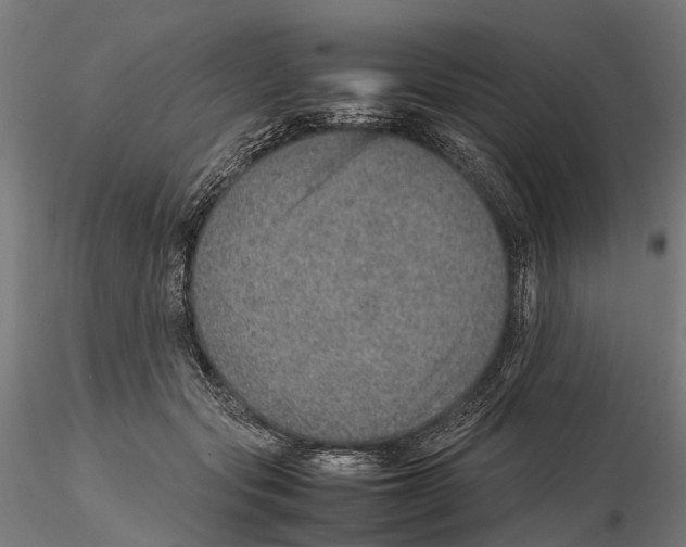 X0000115580557200912081028