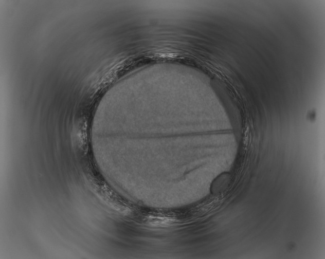 X0000115580559200912081028