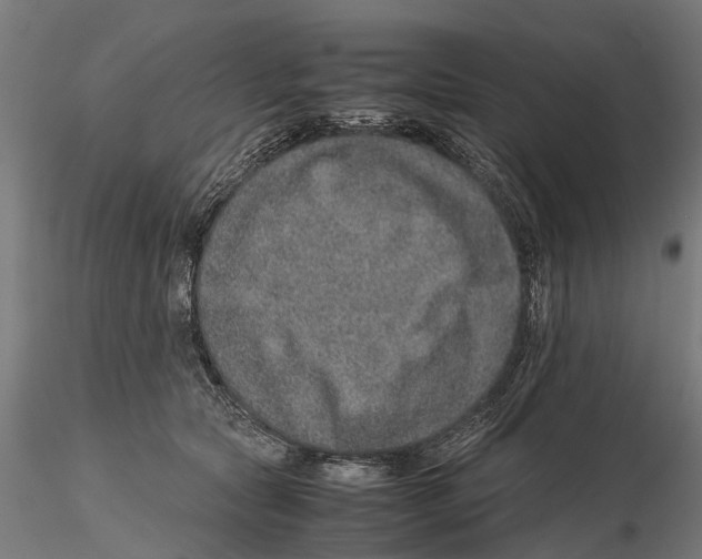 X0000115580561200912081028