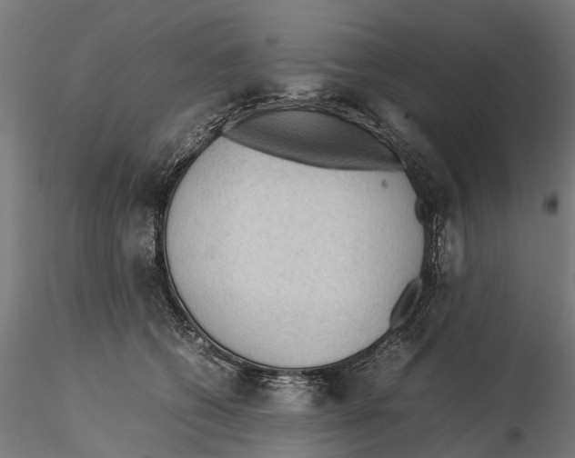 X0000115580562200912081028