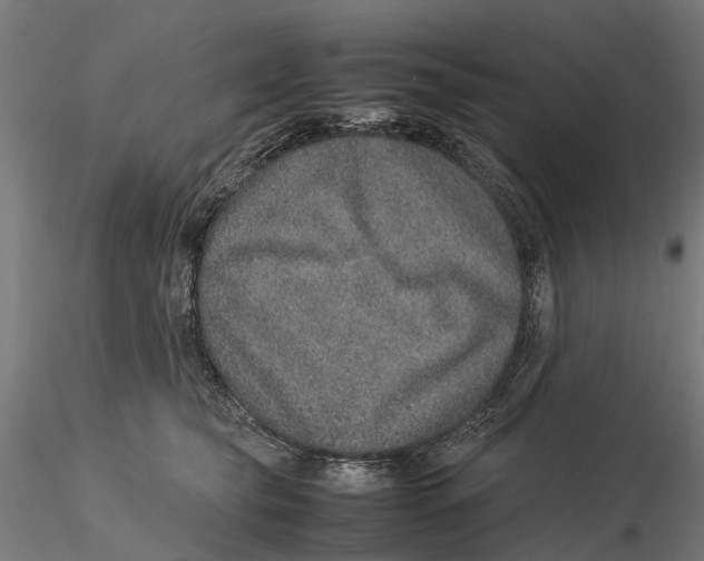 X0000115580565200912081028