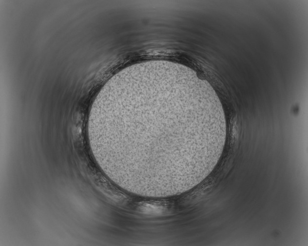 X0000115580567200912081028