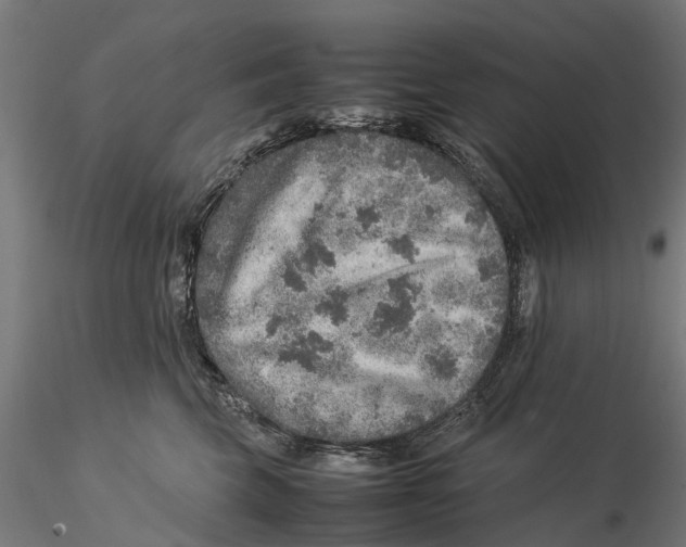 X0000115580569200912081028