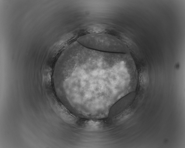 X0000115580570200912081028