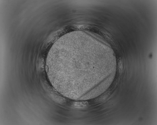 X0000115580571200912081029