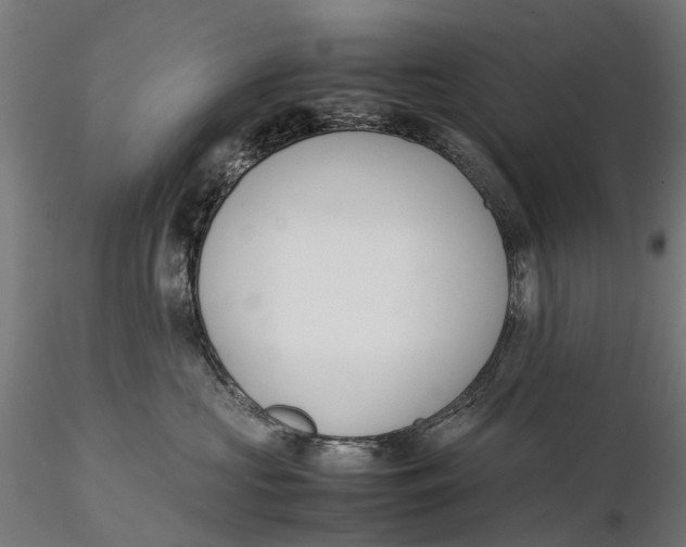 X0000115580573200912081029