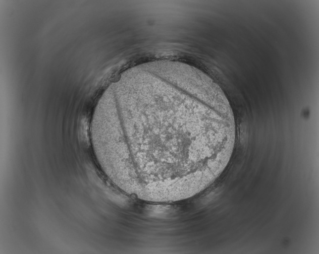 X0000115580575200912081029