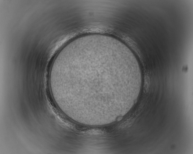 X0000115580578200912081028