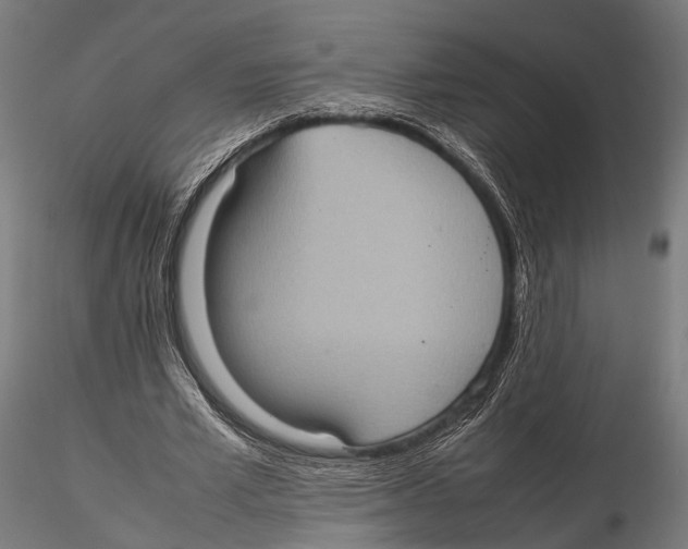 X0000115580581200912081028