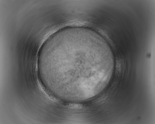 X0000115580582200912081028