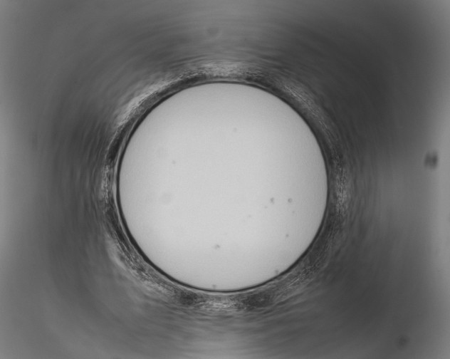 X0000115580583200912081028