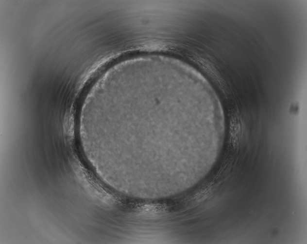 X0000115580584200912081028