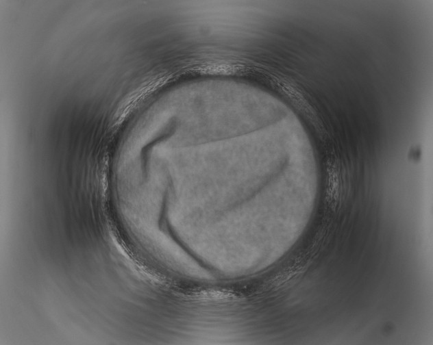 X0000115580586200912081028