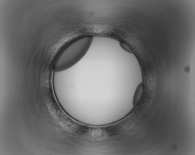 X0000115580587200912081028