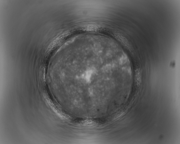 X0000115580589200912081028