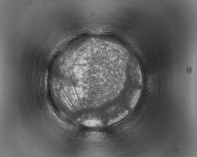 X0000115580590200912081028