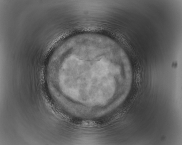 X0000115580591200912081028