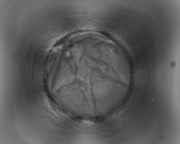 X0000115580592200912081028