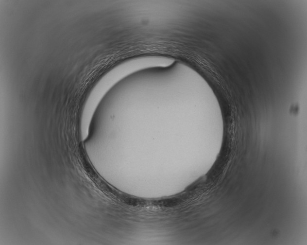 X0000115580593200912081028