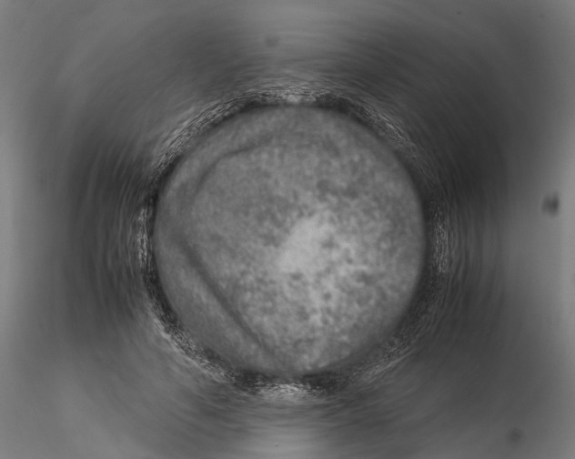 X0000115580594200912081028